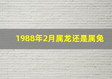 1988年2月属龙还是属兔