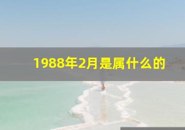 1988年2月是属什么的