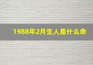 1988年2月生人是什么命