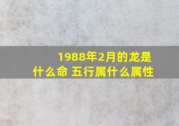 1988年2月的龙是什么命 五行属什么属性