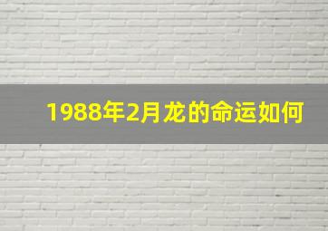 1988年2月龙的命运如何