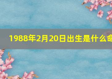 1988年2月20日出生是什么命