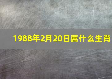 1988年2月20日属什么生肖