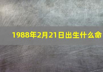 1988年2月21日出生什么命