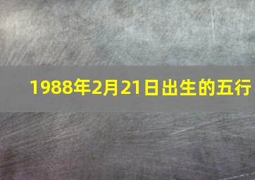 1988年2月21日出生的五行