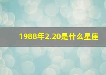 1988年2.20是什么星座