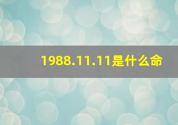 1988.11.11是什么命