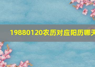 19880120农历对应阳历哪天