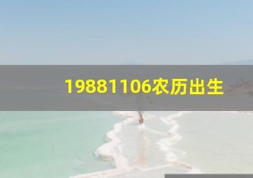 19881106农历出生