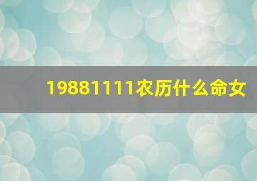 19881111农历什么命女