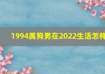 1994属狗男在2022生活怎样