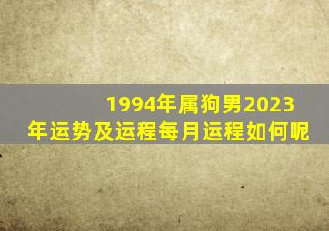 1994年属狗男2023年运势及运程每月运程如何呢