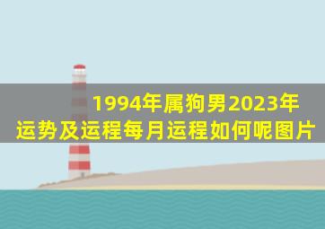 1994年属狗男2023年运势及运程每月运程如何呢图片