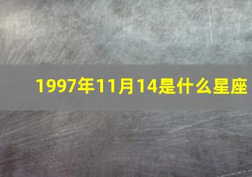 1997年11月14是什么星座