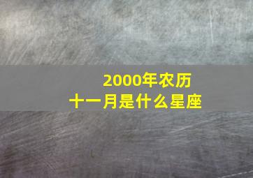 2000年农历十一月是什么星座