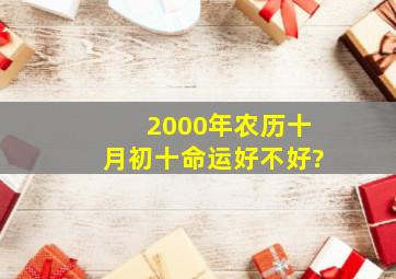 2000年农历十月初十命运好不好?