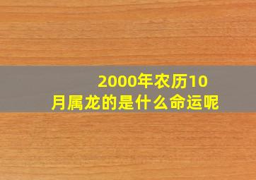 2000年农历10月属龙的是什么命运呢