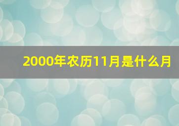 2000年农历11月是什么月