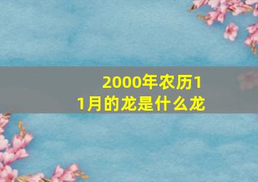 2000年农历11月的龙是什么龙