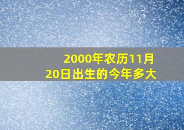 2000年农历11月20日出生的今年多大