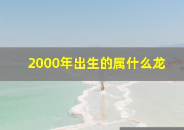 2000年出生的属什么龙