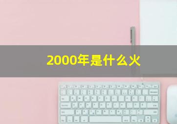 2000年是什么火