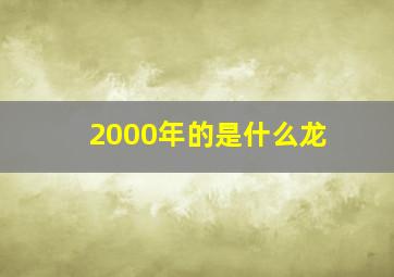 2000年的是什么龙