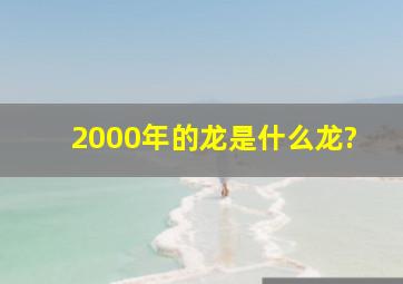 2000年的龙是什么龙?