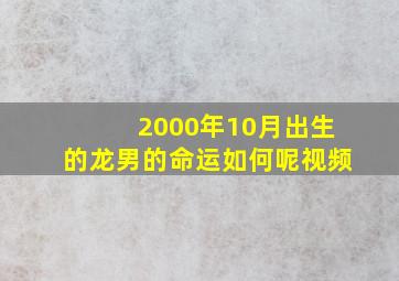 2000年10月出生的龙男的命运如何呢视频