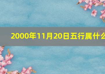 2000年11月20日五行属什么