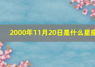 2000年11月20日是什么星座