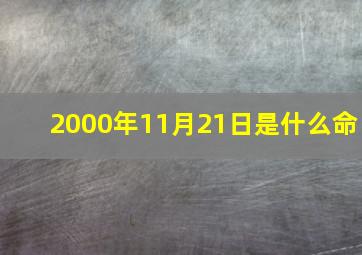 2000年11月21日是什么命