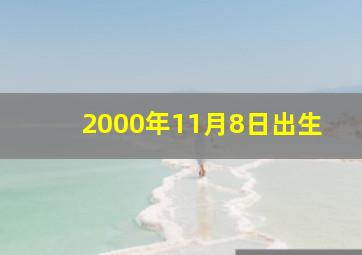 2000年11月8日出生