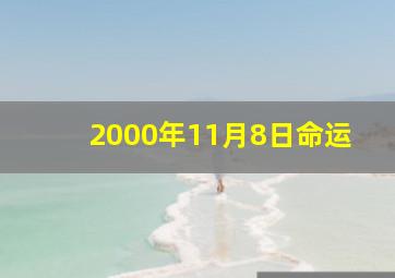 2000年11月8日命运