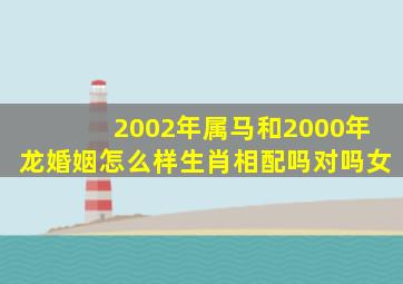 2002年属马和2000年龙婚姻怎么样生肖相配吗对吗女