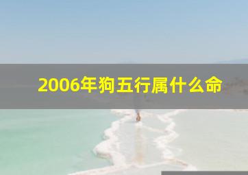 2006年狗五行属什么命