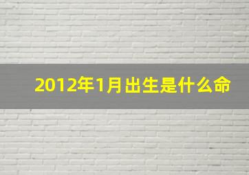 2012年1月出生是什么命