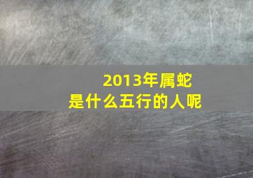 2013年属蛇是什么五行的人呢