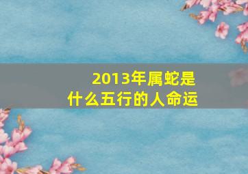 2013年属蛇是什么五行的人命运