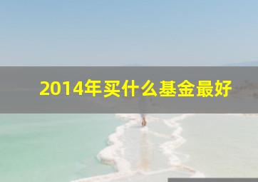 2014年买什么基金最好