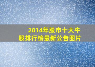 2014年股市十大牛股排行榜最新公告图片