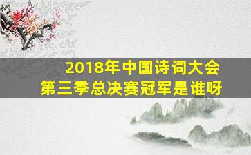 2018年中国诗词大会第三季总决赛冠军是谁呀