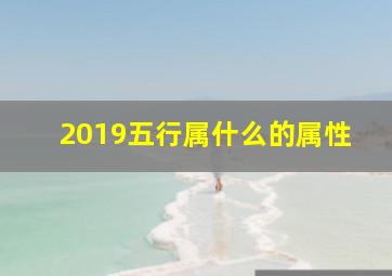 2019五行属什么的属性