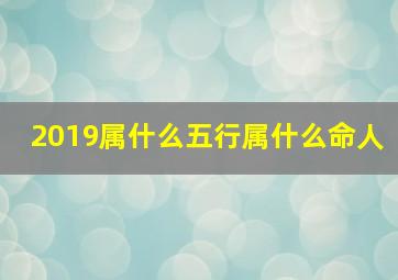 2019属什么五行属什么命人