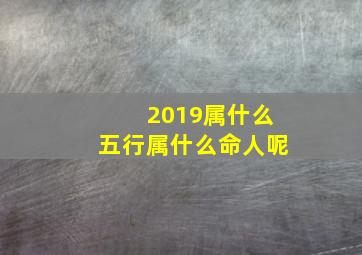 2019属什么五行属什么命人呢