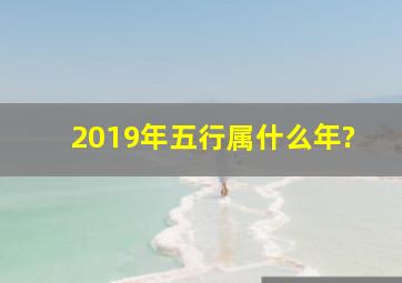 2019年五行属什么年?