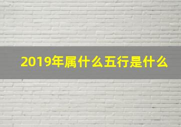 2019年属什么五行是什么