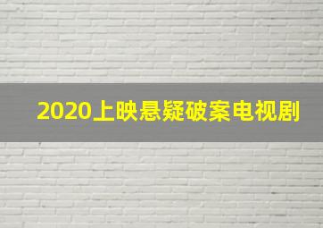 2020上映悬疑破案电视剧