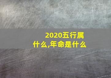 2020五行属什么,年命是什么