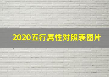 2020五行属性对照表图片